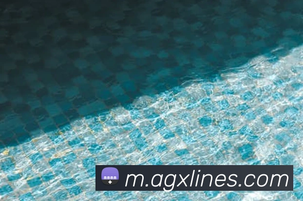 ag百家乐APP 体育赛事宣传图